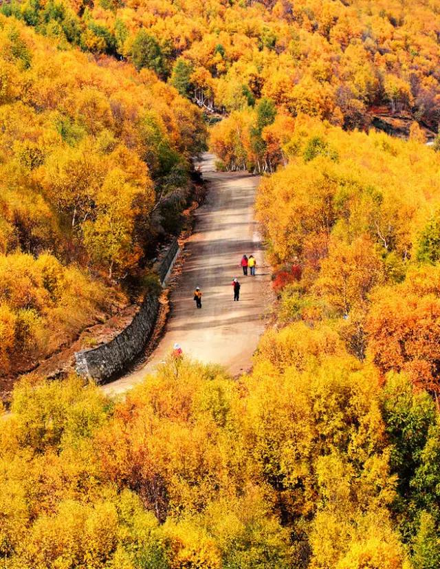 35�ž���������̫����