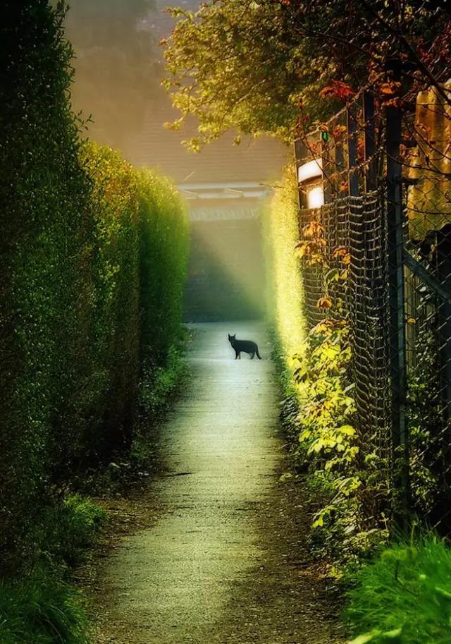 35�ž���������̫����