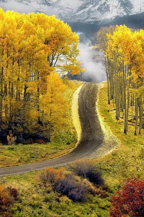 35�ž���������̫����