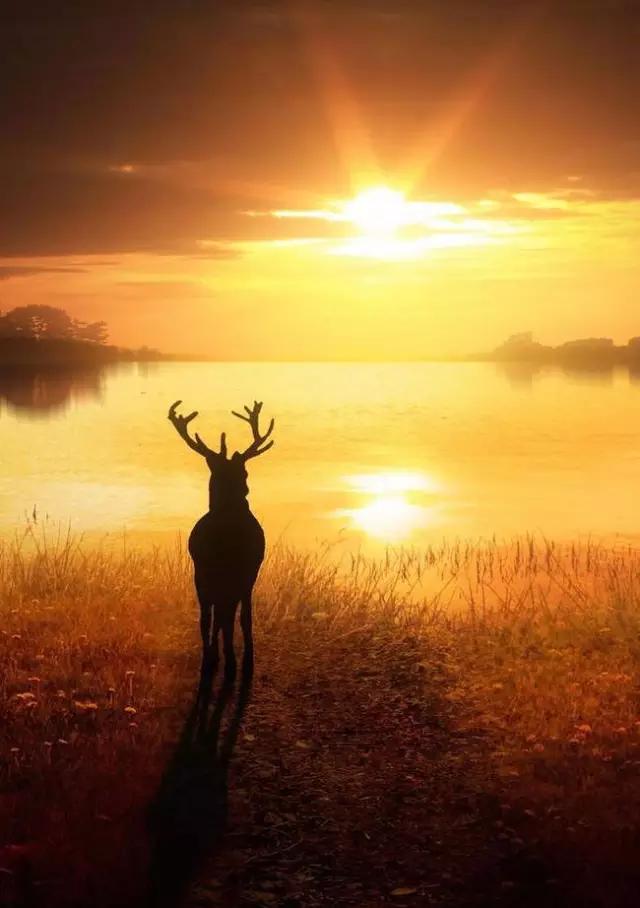 35�ž���������̫����