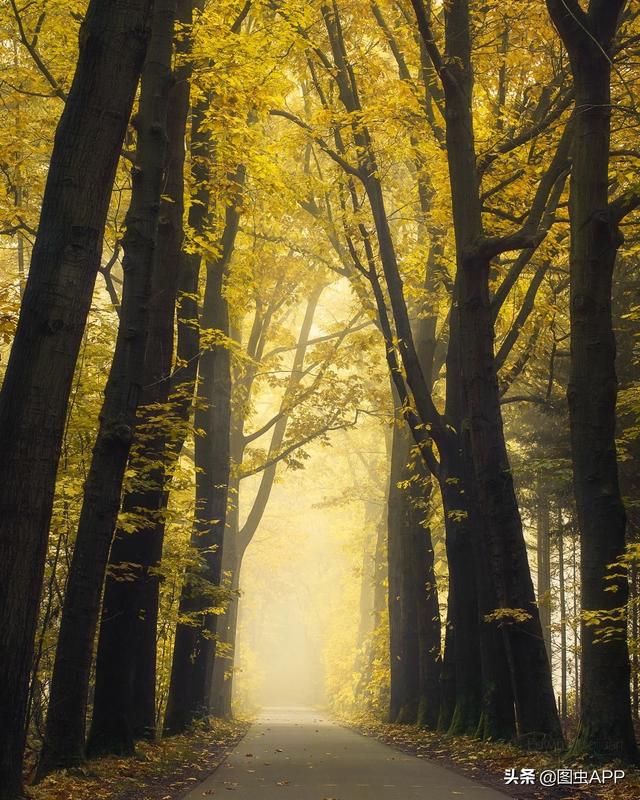 ר�� | ������Ӱʦ�������ɭ�֣���һ������һ�Σ�˵�о���Ҳ��