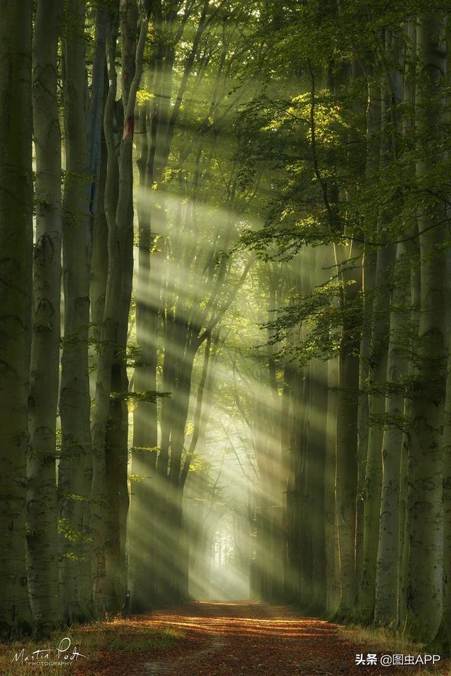 ר�� | ������Ӱʦ�������ɭ�֣���һ������һ�Σ�˵�о���Ҳ��