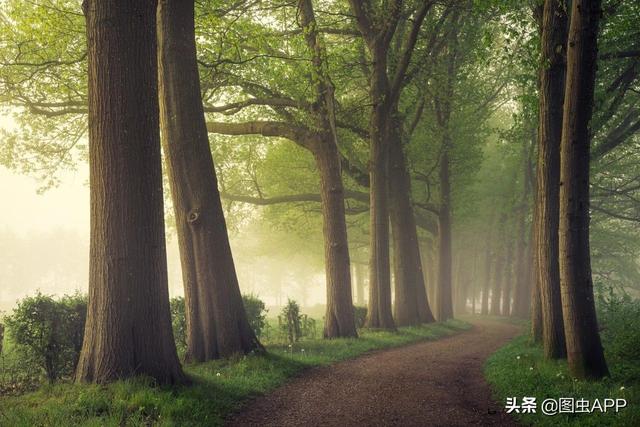 ר�� | ������Ӱʦ�������ɭ�֣���һ������һ�Σ�˵�о���Ҳ��