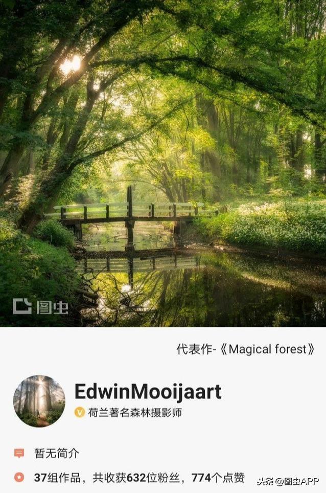 专访 | 荷兰摄影师拍下奇幻森林,看一次治愈一次,说有精灵也信