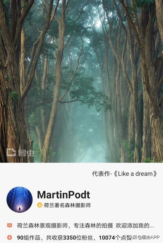 ר�� | ������Ӱʦ�������ɭ�֣���һ������һ�Σ�˵�о���Ҳ��