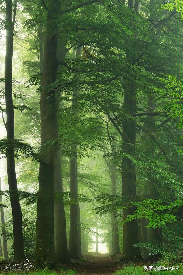 ר�� | ������Ӱʦ�������ɭ�֣���һ������һ�Σ�˵�о���Ҳ��