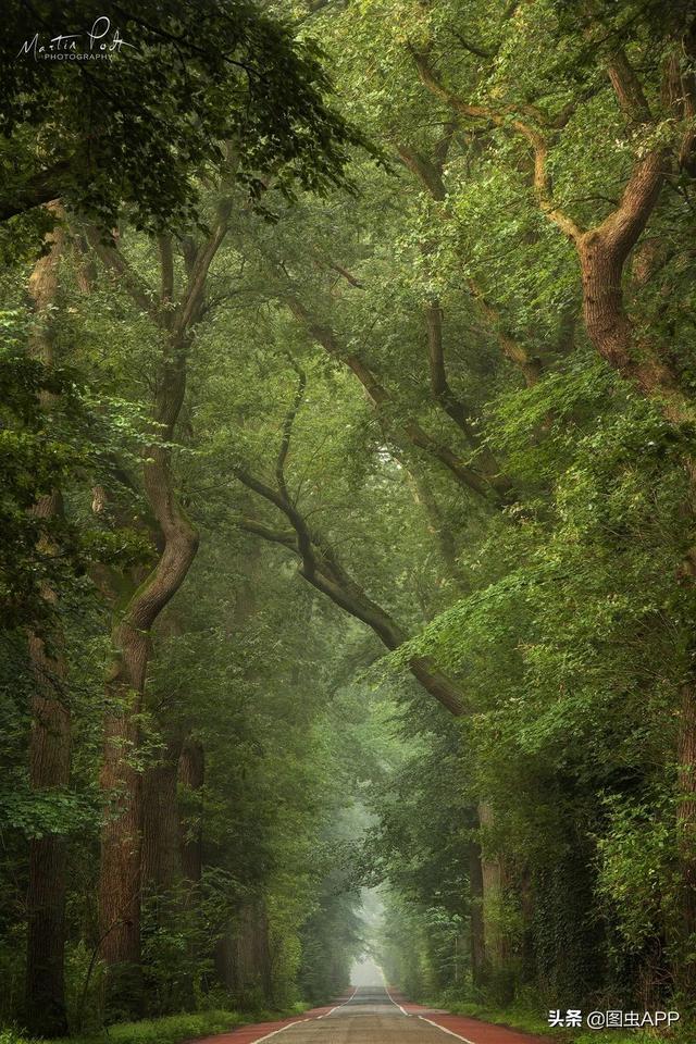 ר�� | ������Ӱʦ�������ɭ�֣���һ������һ�Σ�˵�о���Ҳ��