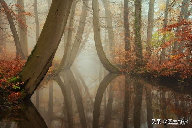 ר�� | ������Ӱʦ�������ɭ�֣���һ������һ�Σ�˵�о���Ҳ��