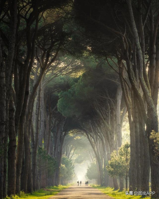 ר�� | ������Ӱʦ�������ɭ�֣���һ������һ�Σ�˵�о���Ҳ��