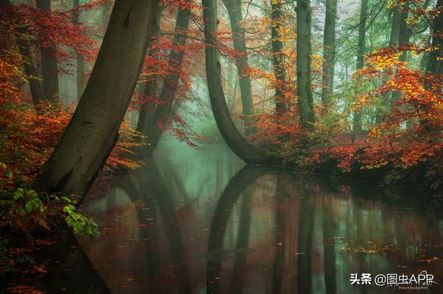 ר�� | ������Ӱʦ�������ɭ�֣���һ������һ�Σ�˵�о���Ҳ��