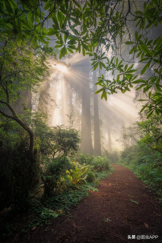 ר�� | ������Ӱʦ�������ɭ�֣���һ������һ�Σ�˵�о���Ҳ��