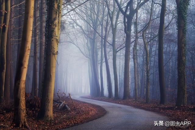 ר�� | ������Ӱʦ�������ɭ�֣���һ������һ�Σ�˵�о���Ҳ��