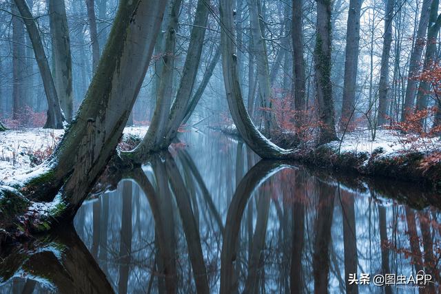 ר�� | ������Ӱʦ�������ɭ�֣���һ������һ�Σ�˵�о���Ҳ��