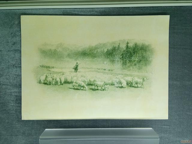 �����۽硹�������ƻ滭ԭͼ