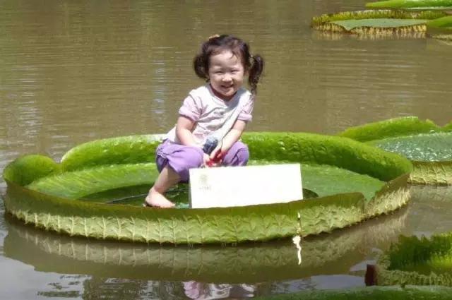 �̵� | ��Щ����Ҷʵ��������ֲ��