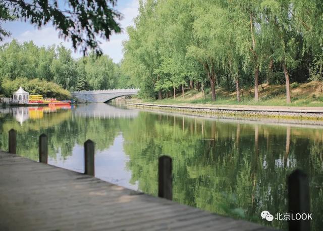 �⣬���Ǳ���������԰