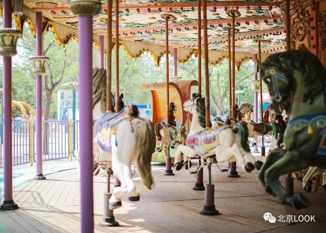 �⣬���Ǳ���������԰