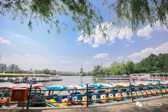 �⣬���Ǳ���������԰