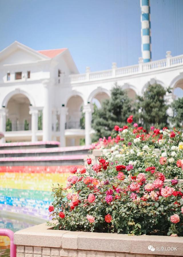 �⣬���Ǳ���������԰