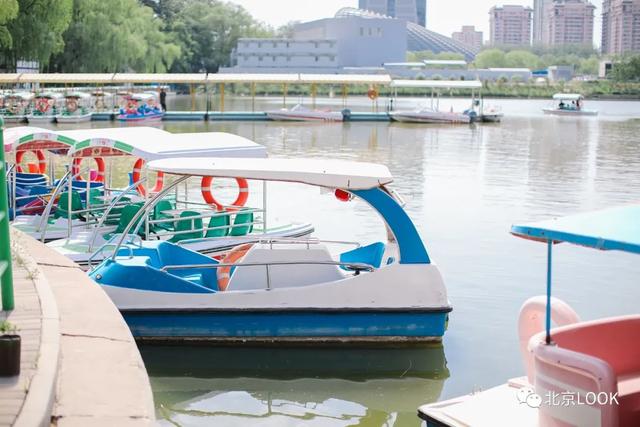 �⣬���Ǳ���������԰