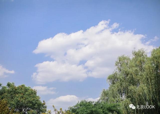 �⣬���Ǳ���������԰