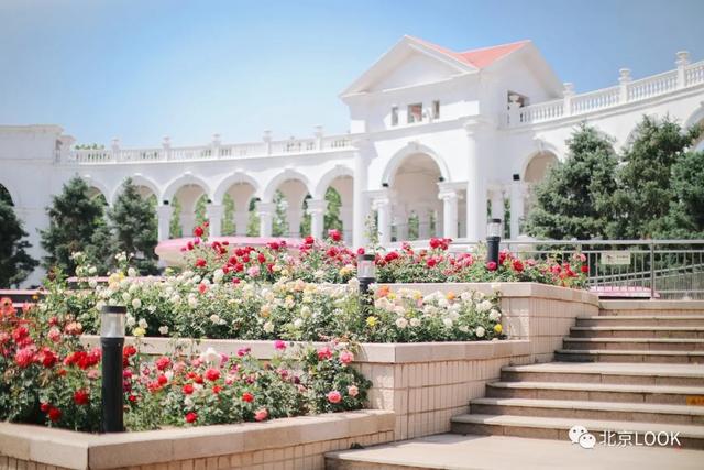 �⣬���Ǳ���������԰