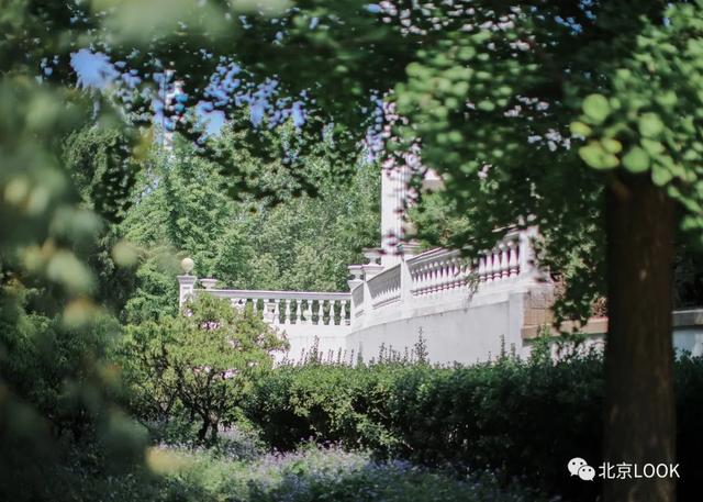 �⣬���Ǳ���������԰