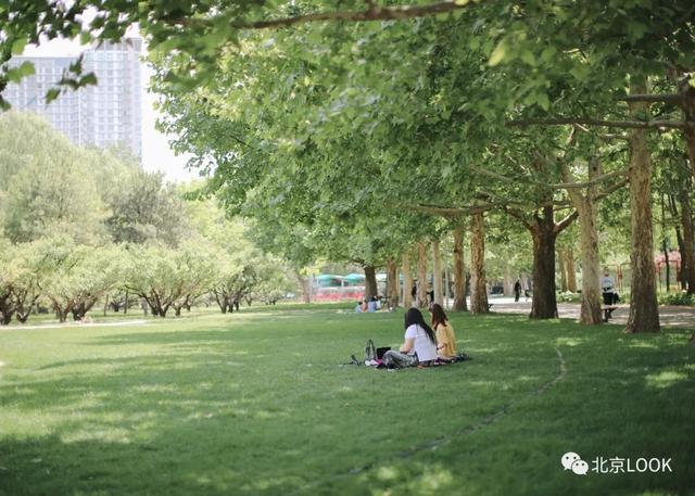 �⣬���Ǳ���������԰