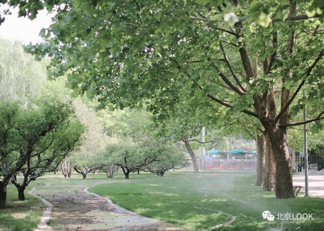 �⣬���Ǳ���������԰