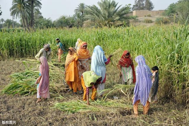 ���½����Σ�һ��Ҫ֪��ά����������ϰ��