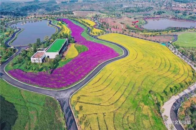 来到这个花田胜景小镇,拥抱“南国御养”健康生活目的地