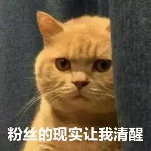 ÿ�춼��Ĺ�Ƿ��������ʲô�ã�