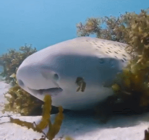 ÿ�춼��Ĺ�Ƿ��������ʲô�ã�