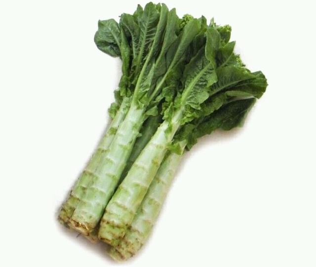 ݫ̫DDѧĸ