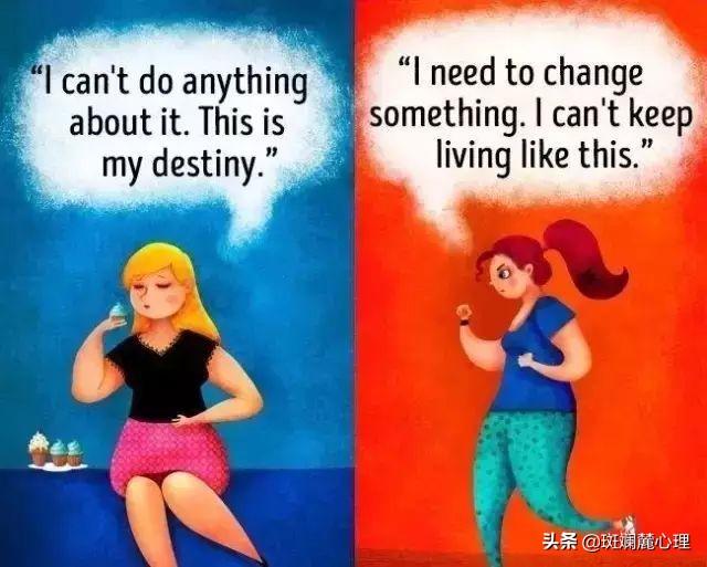 �����ѧ��11��ͼ������αܿ��������������������������