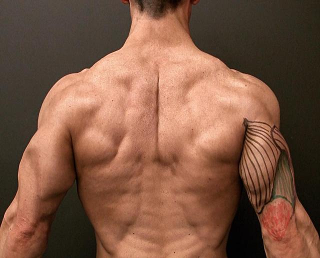 �������ϵĺ�������ߣ����������嵥��������Ч��չ��������