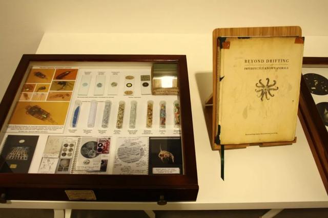 �������ں��߼��������ĳ�������Ƭ��ֻΪ�������ǹ�ͬ�ĺ���