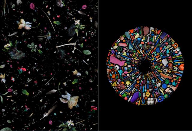 她痴迷于海边捡垃圾,拍出绝美照片,只为保护我们共同的海洋