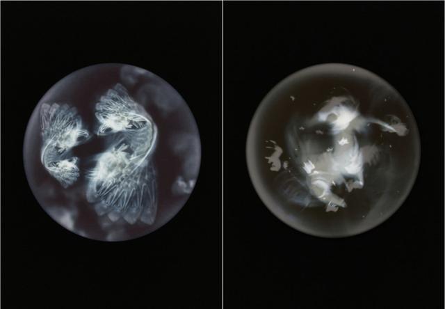 �������ں��߼��������ĳ�������Ƭ��ֻΪ�������ǹ�ͬ�ĺ���