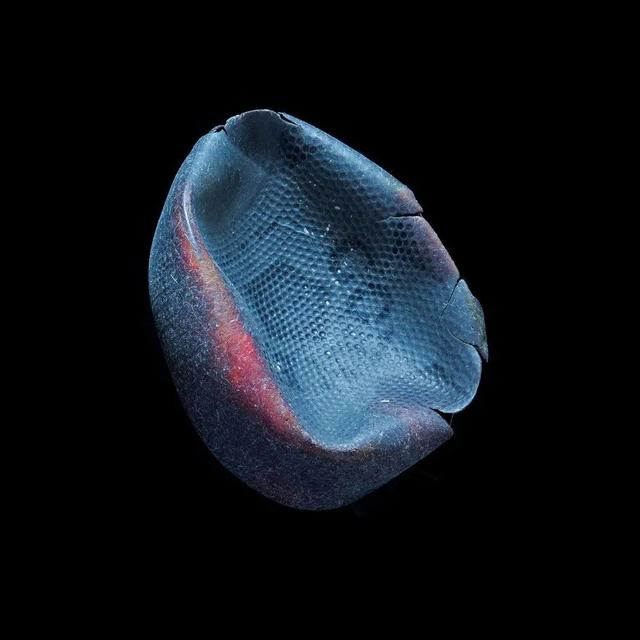 �������ں��߼��������ĳ�������Ƭ��ֻΪ�������ǹ�ͬ�ĺ���