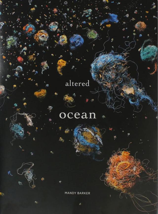 她痴迷于海边捡垃圾,拍出绝美照片,只为保护我们共同的海洋