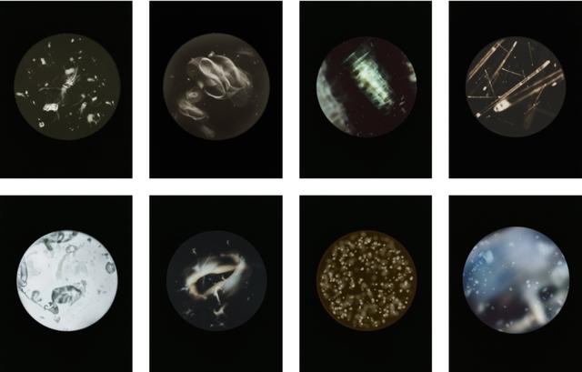 �������ں��߼��������ĳ�������Ƭ��ֻΪ�������ǹ�ͬ�ĺ���