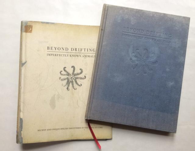 �������ں��߼��������ĳ�������Ƭ��ֻΪ�������ǹ�ͬ�ĺ���