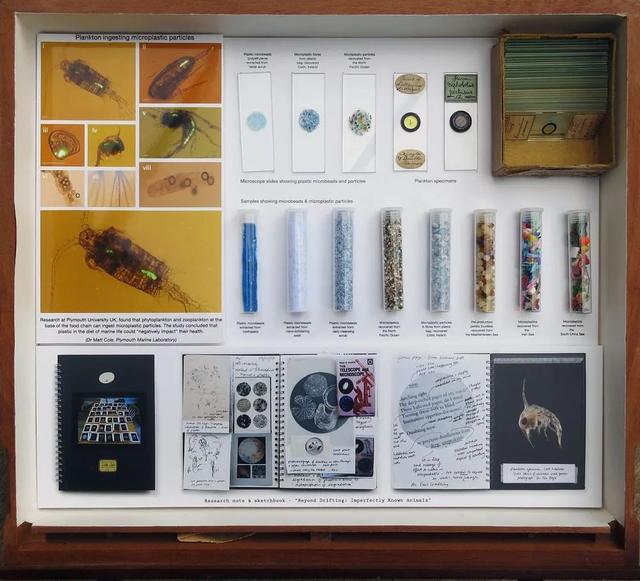 �������ں��߼��������ĳ�������Ƭ��ֻΪ�������ǹ�ͬ�ĺ���