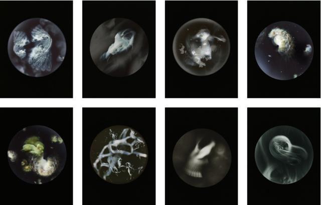 �������ں��߼��������ĳ�������Ƭ��ֻΪ�������ǹ�ͬ�ĺ���