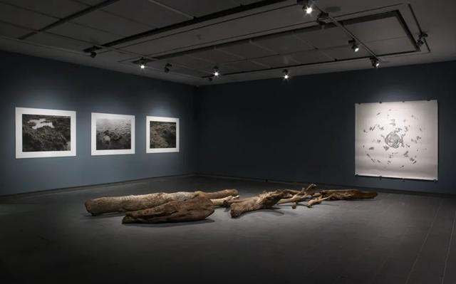 �������ں��߼��������ĳ�������Ƭ��ֻΪ�������ǹ�ͬ�ĺ���