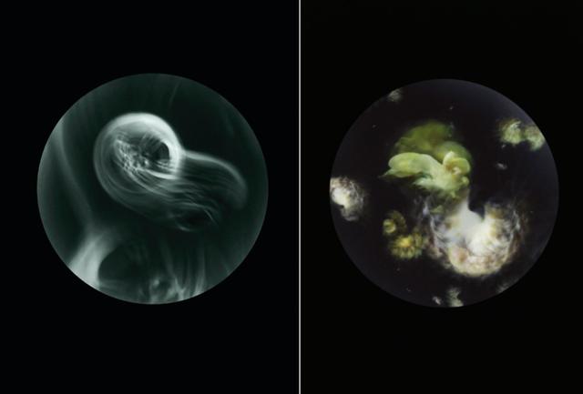 �������ں��߼��������ĳ�������Ƭ��ֻΪ�������ǹ�ͬ�ĺ���