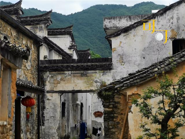 ������������뺼��50�������Ȩ����óԵĶ���ʵ��̫����