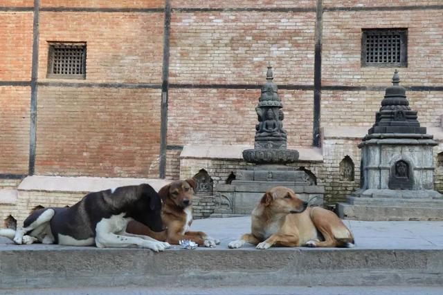 �Ჴ���������˺���Ȼ�Ĺ���