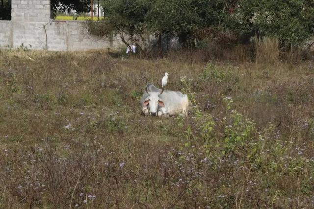 �Ჴ���������˺���Ȼ�Ĺ���